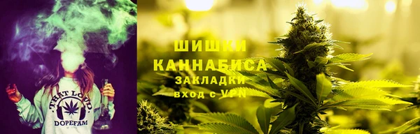 прущие крисы Сясьстрой