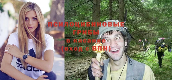 прущий лед Тайга