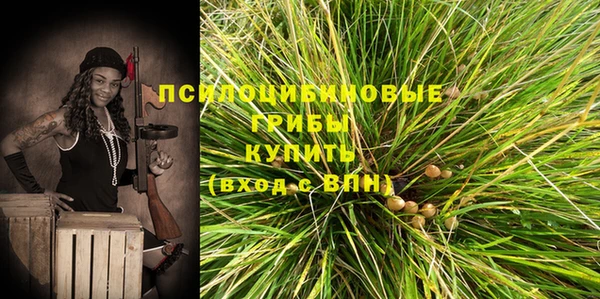 прущие крисы Сясьстрой